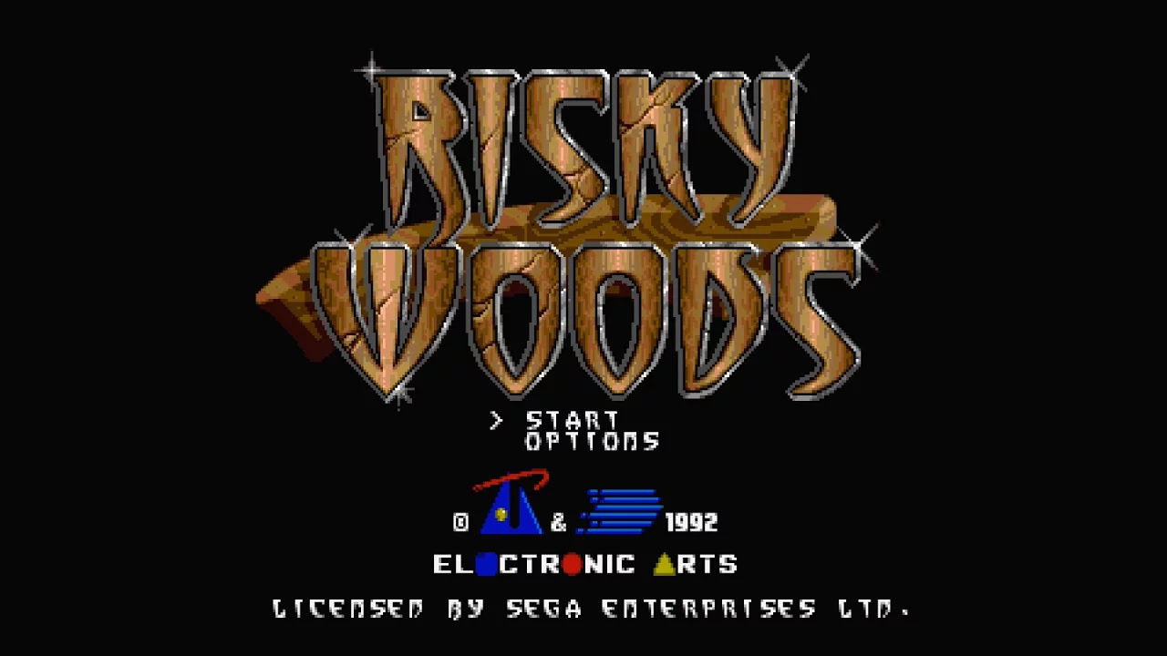 Risky Woods (邪神ドラクソス) cover art
