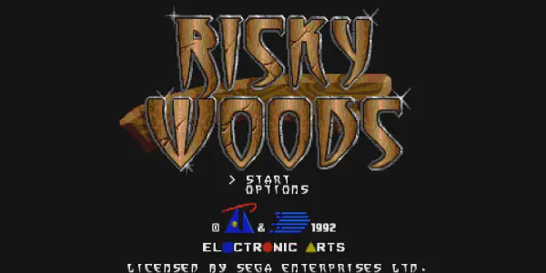 Risky Woods (邪神ドラクソス) Cover art